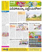 Karimnagar Constituencies