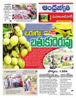 Mahabubnagar District