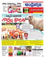 Mahabubnagar District