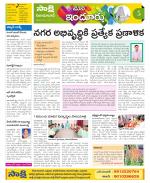 Nizamabad Constituencies