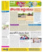 Karimnagar Constituencies