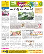 Nizamabad Constituencies