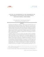 A STUDY OF LEADERSHIP IN THE HIERARCHY OF MANAGERS IN MALAYSIAN MULTINATIONAL MANUFACTURING INDUSTRIES by Md. Aminul Islam, Farid Ahammad Sobhani and Ravindranath Gopinathan Nair