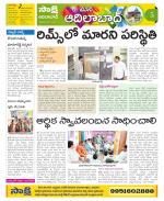 Adilabad Constituencies