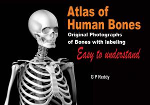 Atlas of Human Bones