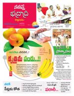 Bhadradri Kothagudem