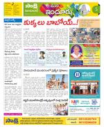 Nizamabad Constituencies