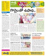 Karimnagar Constituencies