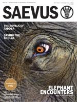 SAEVUS MARCH-MAY 2017