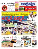 Mahabubnagar District