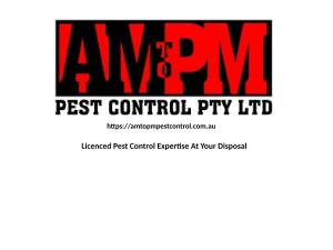 AM to PM Pest Control