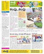 Karimnagar Constituencies