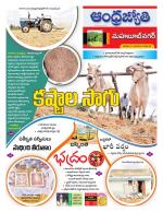 Mahabubnagar District