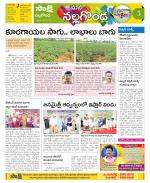 Nalgonda Constituencies