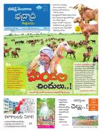 Bhadradri Kothagudem