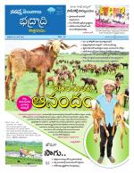 Bhadradri Kothagudem