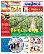 Kumuram Bheem District