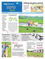 Bhadradri Kothagudem