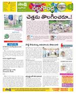 Nalgonda Constituencies