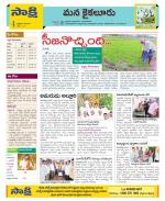 Krishna Constituencies