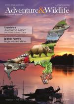 Adventure & Wildlife Magazine