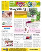 Karimnagar Constituencies