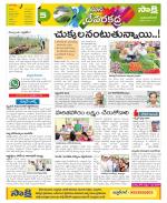 Mahabubnagar Constituencies