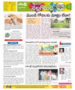 Nalgonda Constituencies