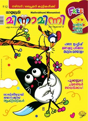 Minnaminni-2017 July 19