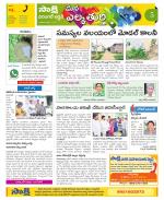 Hanamakonda Constituencies