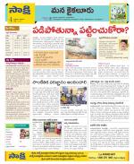 Krishna Constituencies