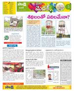 Medak Constituencies