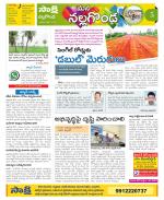 Nalgonda Constituencies