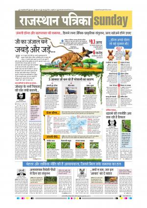  Rajasthan Patrika Sawaimadhopur