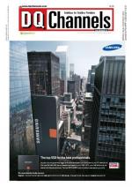 DQ Channels