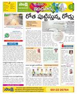 Nizamabad Constituencies