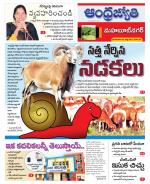 Mahabubnagar District