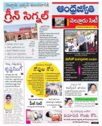 Nellore City