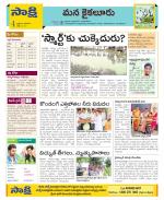 Krishna Constituencies