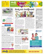 Nizamabad Constituencies