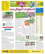 Karimnagar Constituencies