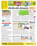 Karimnagar Constituencies