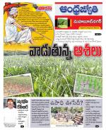 Mahabubnagar District