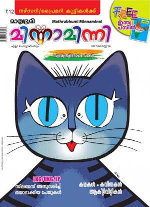 Minnaminni-2017 August 16