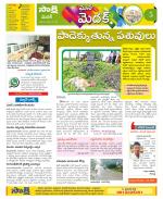 Medak Constituencies