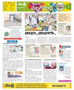 Nalgonda Constituencies