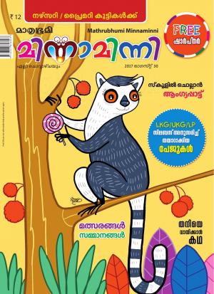 Minnaminni-2017 August 30