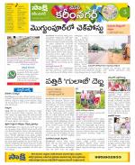 Karimnagar Constituencies