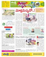 Adilabad Constituencies