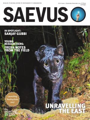 SAEVUS SEPT-NOV 17